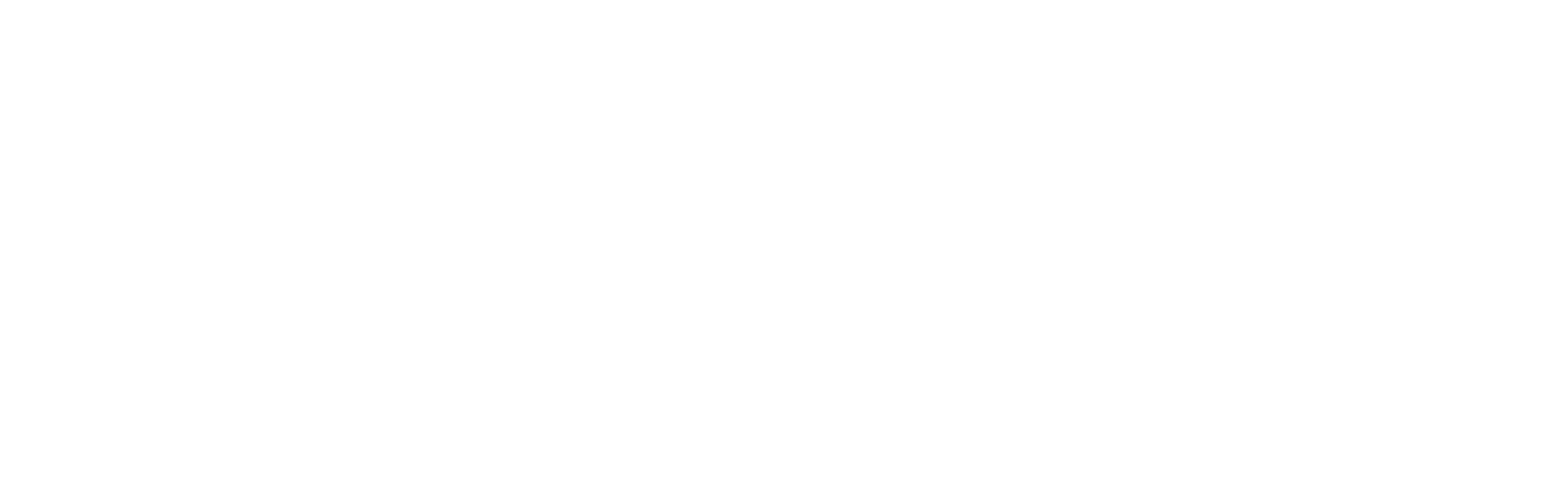 logo dark